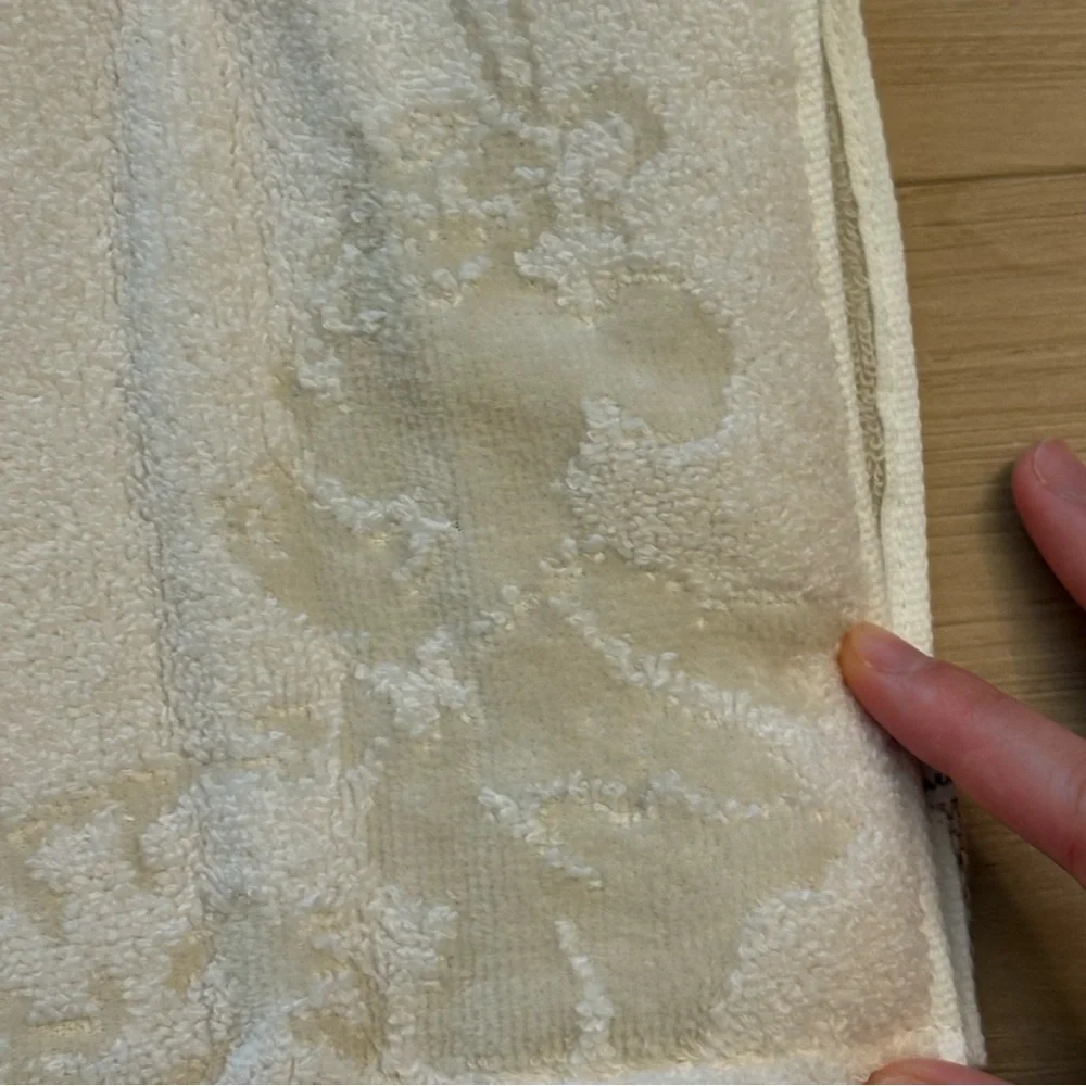Tokyo DisneySea Fantasy Springs Hotel Towel